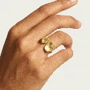 ANILLO-001 (4).webp