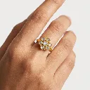 ANILLO-002 (4).webp