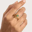 ANILLO-009 (4).webp