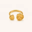 ANILLO-001