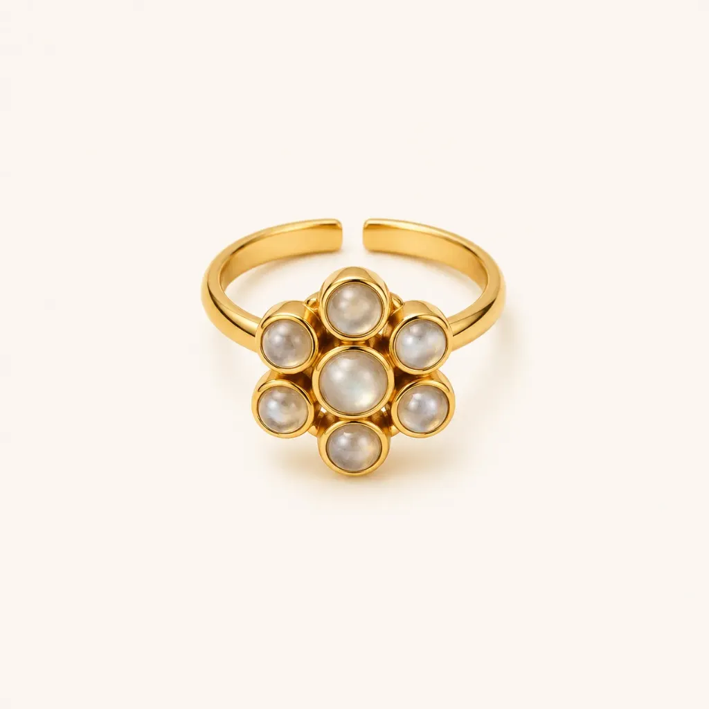 ANILLO-002