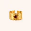 ANILLO-003